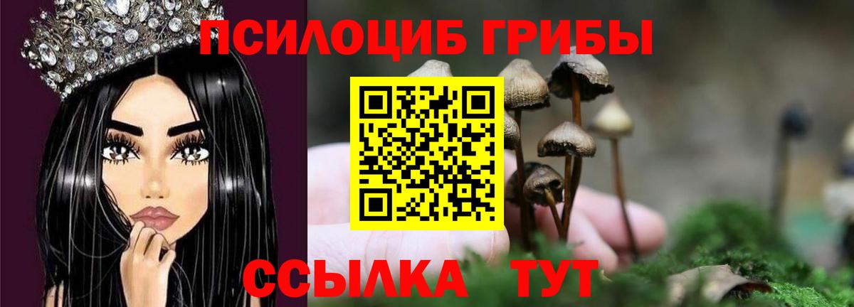 наркошоп  Галлюциногенные грибы MAGIC MUSHROOMS  Вход с VPN  Прохладный 